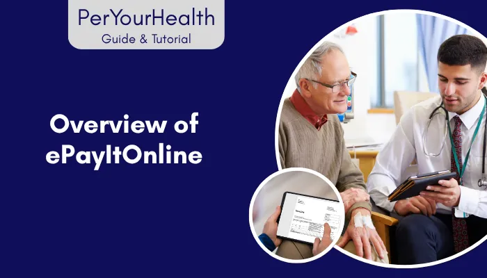 Overview of ePayItOnline Overview of ePayItOnline